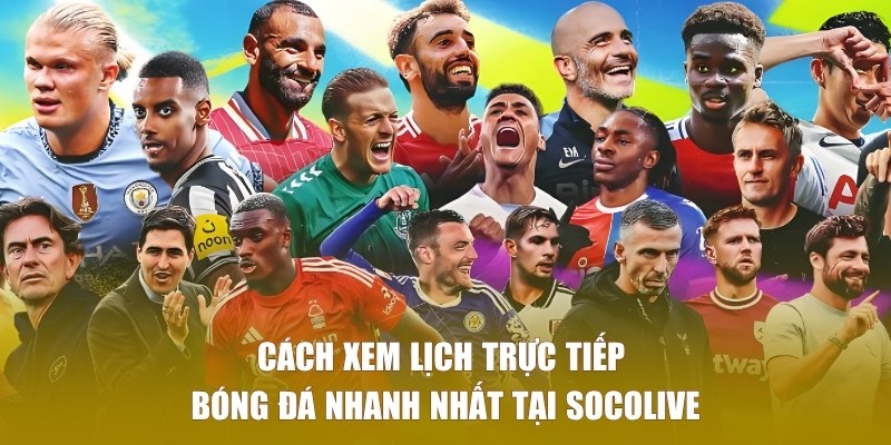 Quy trình xem lịch đơn giản cho fan hâm mộ