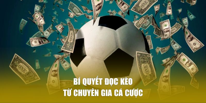 Bí quyết đọc kèo hiệu quả từ chuyên gia cá cược