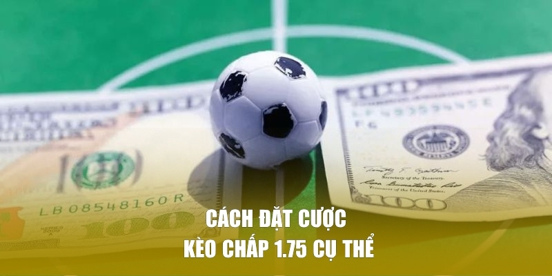 Hướng dẫn cách thức đặt cược kèo chấp 1.75